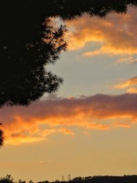 Silhouette trees against dramatic sky during sunset