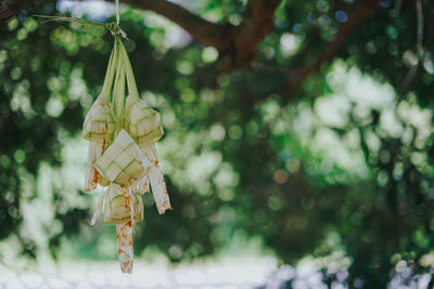 Close-up of ketupat hanging against blurred background