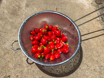 High angle view of tomatoes