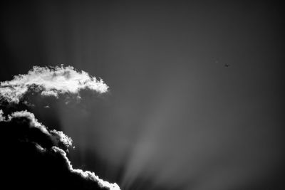 Low angle view of trees against sky