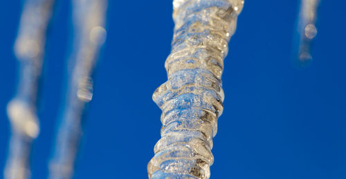 Low angle view of icicles against blue sky
