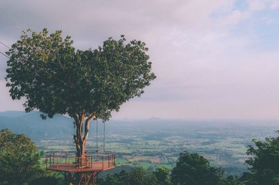 Trees on landscape against sky