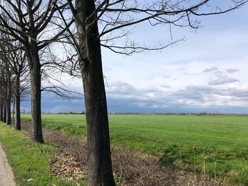 Scenic view of field against sky