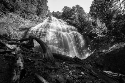 Scenic view of waterfall in forest