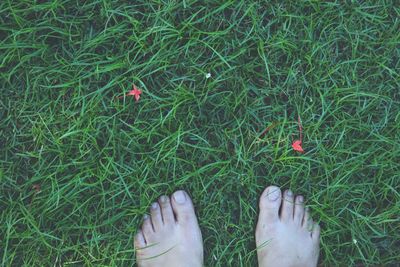 Low section of person standing on grassy field