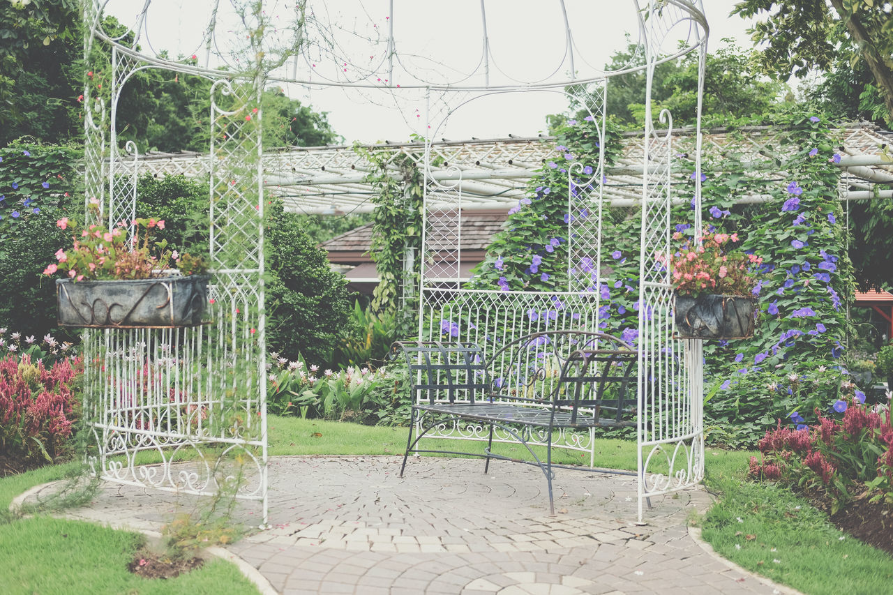 VIEW OF POTTED PLANTS IN YARD