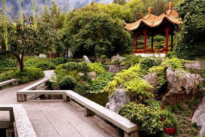 Plants and trees in front of building