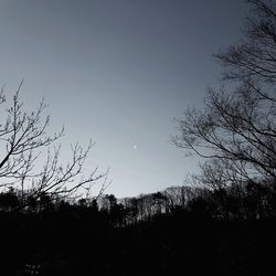 Low angle view of silhouette bare trees against clear sky