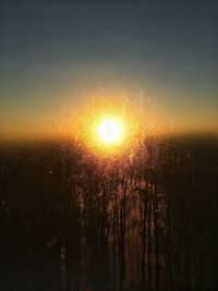 View of tree against sky at sunset