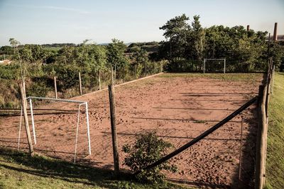 Trees growing on field against sky