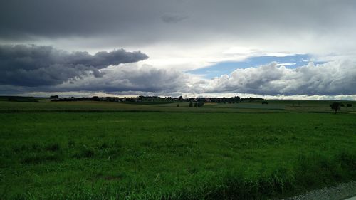 Scenic view of field against sky