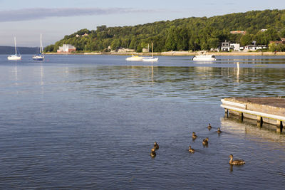 Scenic view of lake