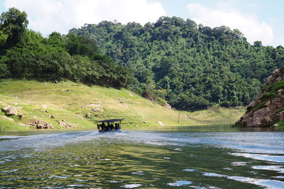 Scenic view of river amidst trees in forest against sky