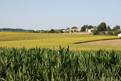 Talmont sur gironde