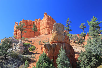 Low angle view of trees against clear blue sky