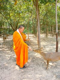 Monk feeding deer against trees