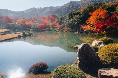 Scenic view of lake by trees during autumn