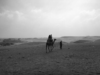 Rear view of people riding on landscape