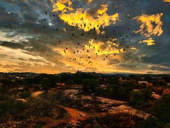 Scenic view of silhouette trees against sky during sunset