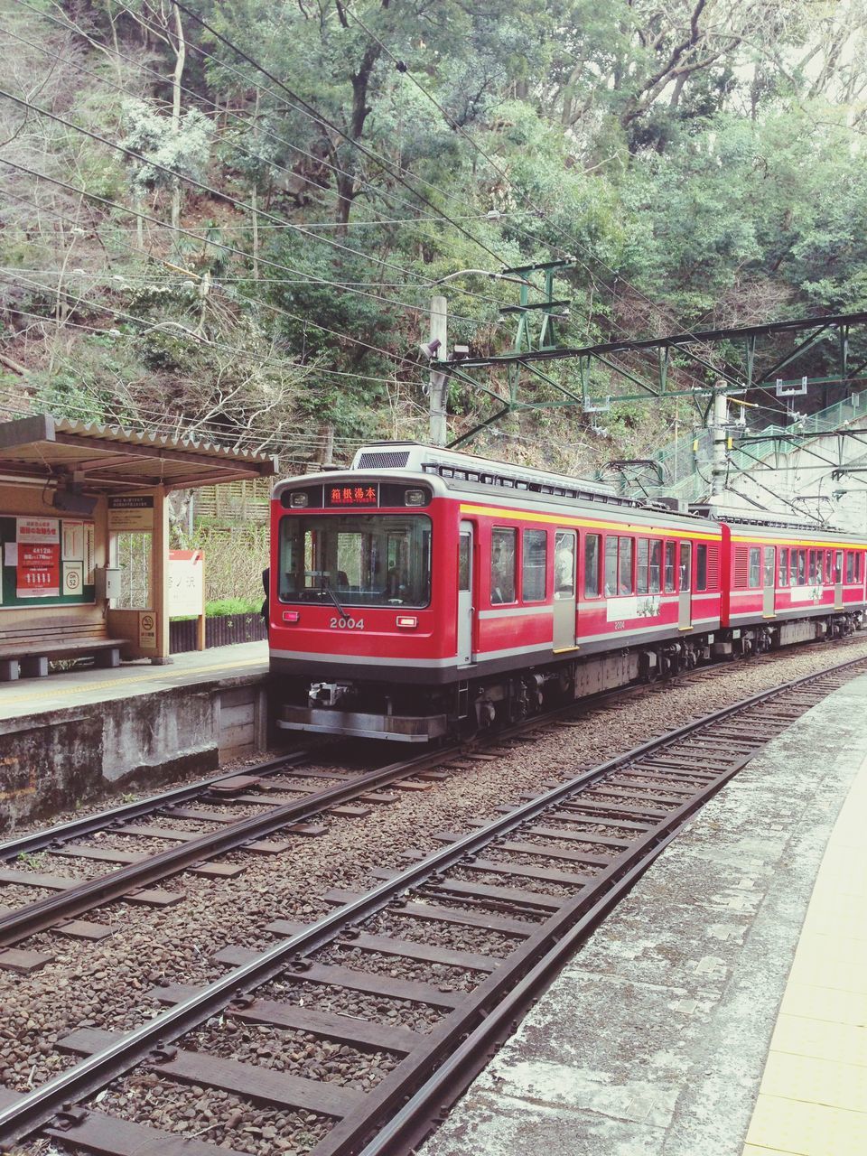 railroad track, transportation, rail transportation, public transportation, railroad station platform, railroad station, tree, train - vehicle, mode of transport, travel, train, passenger train, built structure, day, architecture, public transport, no people, railway track, outdoors, red