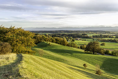 Scenic view of landscape against sky