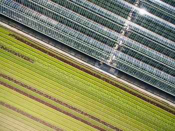 Full frame shot of agricultural field