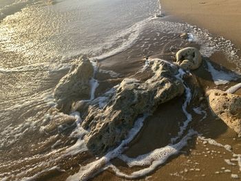 High angle view of surf on beach