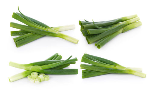 High angle view of chopped leaf on white background