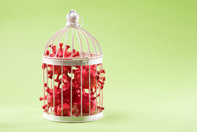 Close-up of strawberry against white background