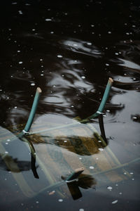 High angle view of swimming in lake