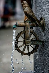 Close-up of small bird statue on artistic faucet