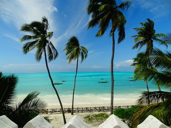 Palm trees by swimming pool against sky