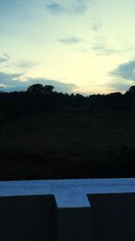 Scenic view of tree against sky