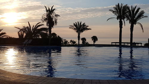 Silhouette palm trees by swimming pool against sky during sunset