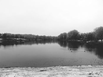 Reflection of trees in calm lake