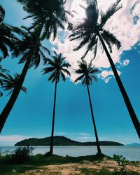 Palm trees by sea against sky