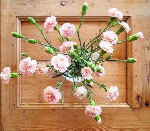 High angle view of pink flowering plant on table