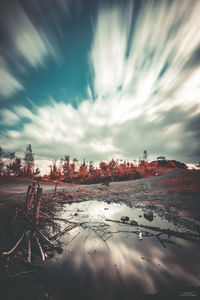 Reflection of trees in water against sky