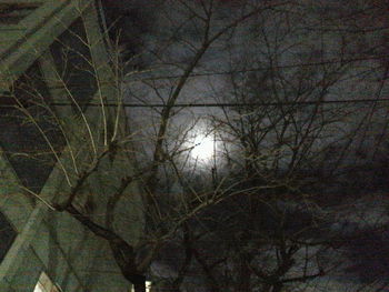 Low angle view of bare trees