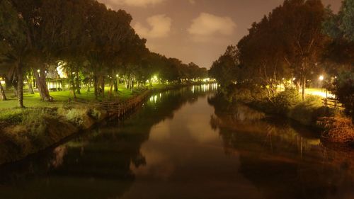 Reflection of trees in water at night