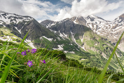 Scenic view of grassy field against cloudy sky