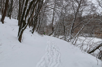 Bare trees on snow covered landscape