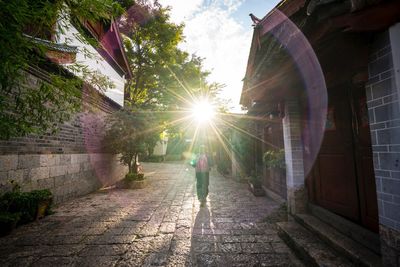 Rear view of woman walking on sidewalk in city