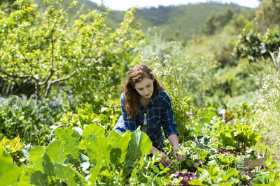 Young woman looking away in plants