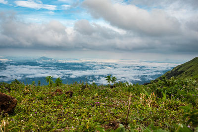 Scenic view of sea against sky