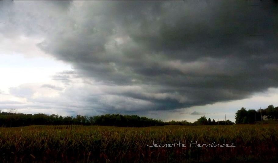 sky, cloud - sky, cloudy, field, tranquil scene, tranquility, landscape, grass, scenics, nature, beauty in nature, overcast, weather, cloud, storm cloud, growth, rural scene, tree, agriculture, grassy