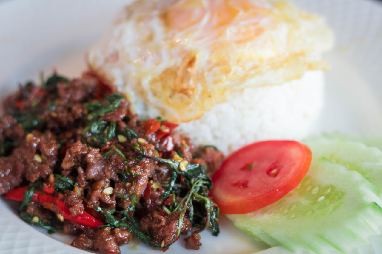 CLOSE-UP OF MEAL SERVED ON PLATE