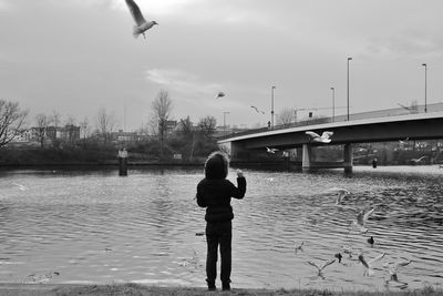 Rear view of boy feeding seagulls while standing on shore against sky