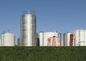 Panoramic shot of corn field against sky