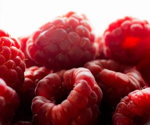 Close-up of berries over white background